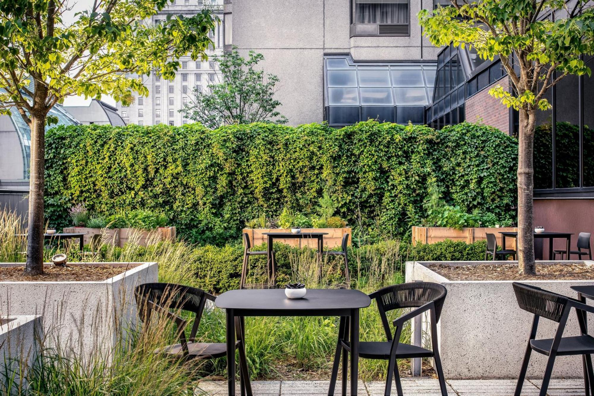 Le Centre Sheraton Montreal Hotel Ngoại thất bức ảnh